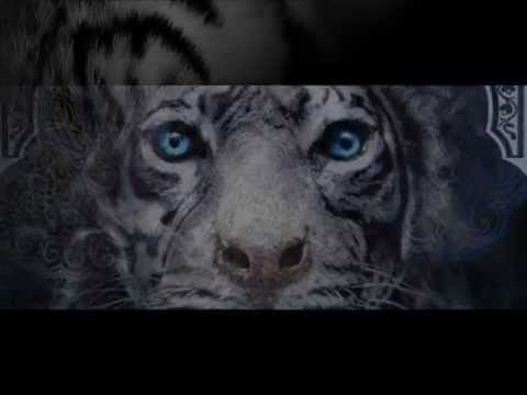 Where I draw the Line – Clay Aiken (lyrics) Tiger's Curse OST