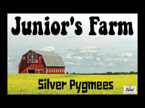 Junior's Farm , Wings, Paul McCartney cover