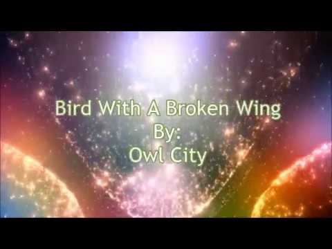Owl City Bird With A Broken Wing (Lyric Video)